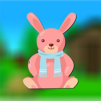 AVMGames Naughty Pink Rabbit Rescue Walkthrough